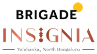 logo1